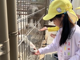 農林高校~ふれあい動物園~