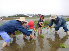 田植え