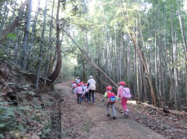山登り